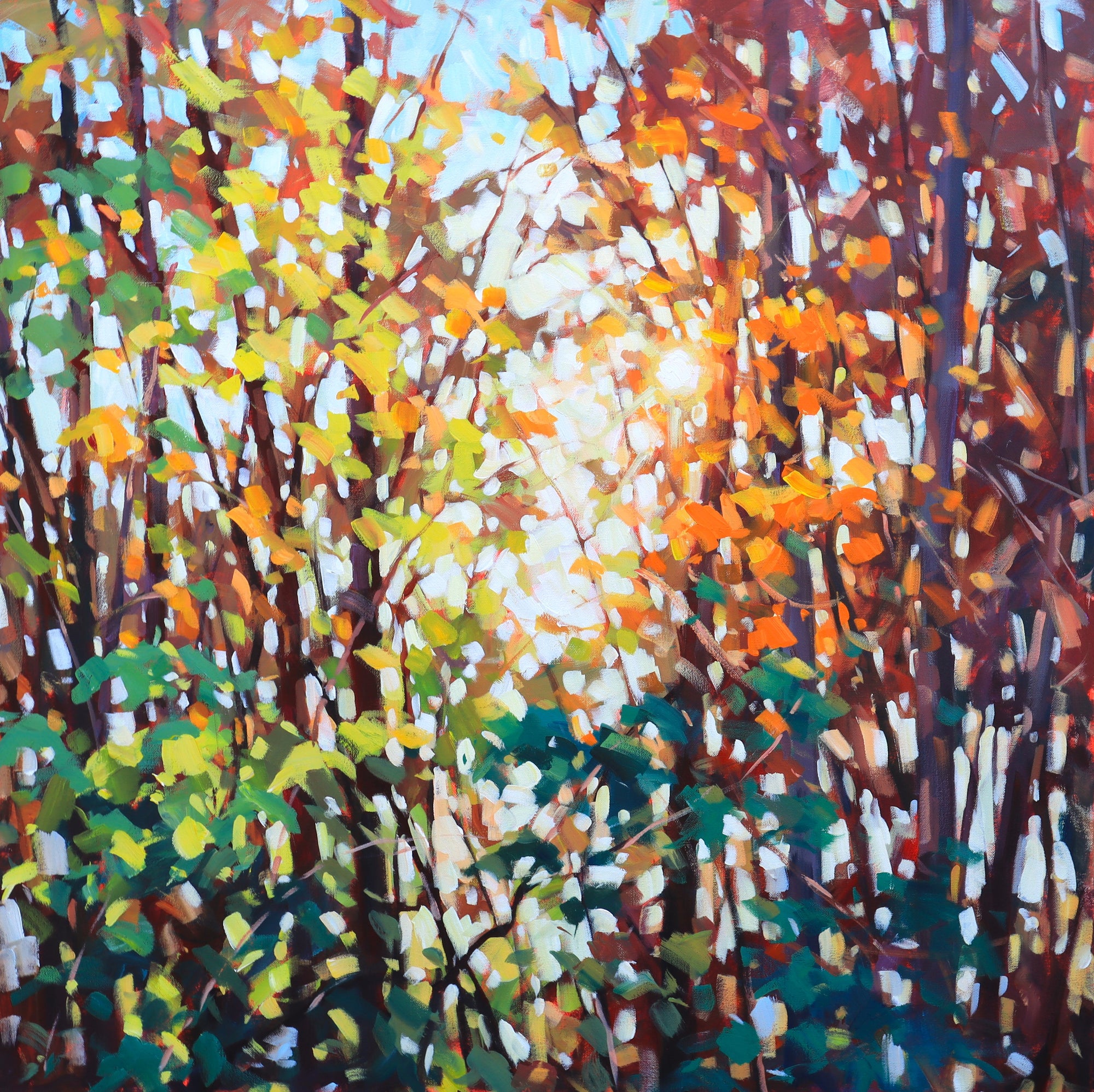 "Golden Canopy" Acrylic on canvas 36"x36"