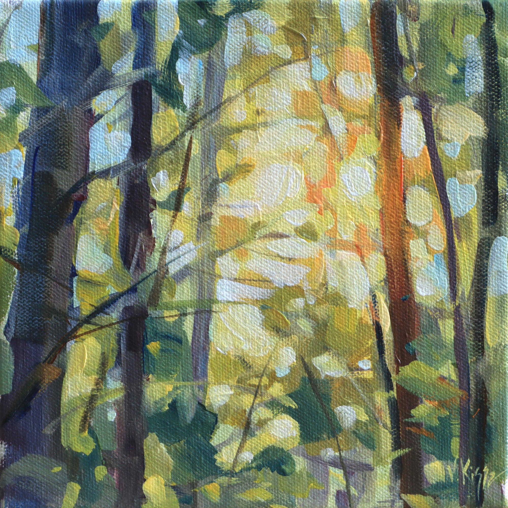 Acrylic painting depicted setting sun shining through the trees