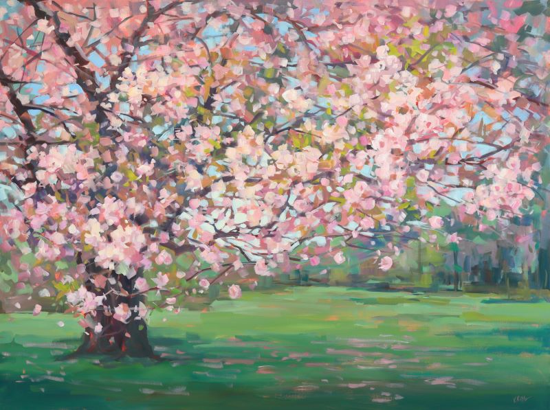 Cherry blossom flowering tree 
